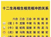 什么生肖冲兔子、兔冲什么生肖相克