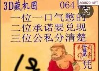 3d天机图正版、3d天机图藏机图