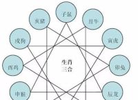 “完美无瑕”打一生肖是什么的简单介绍