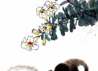 寸步不让打一生肖、寸步不让打一生肖精准答案