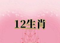 开花结果的指什么生肖、开花结果指什么生肖什么数字