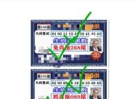 来三中一今期开打一最佳数字、来三中三今期开四九上奖来一个