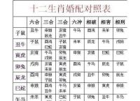 91年属什么生肖最佳婚配、1991年属什么生肖最佳婚配