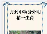 ?打一生肖、打一生肖的正确答案