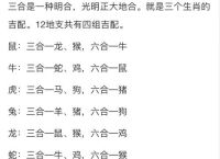 关于今期生肖不说二解一正确生肖的信息
