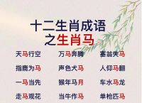 了解情况打一生肖、了解情况再发言打一成语
