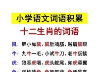 今期生肖深山找、今期生肖深山找打一正确动物