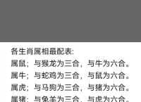 兔跟什么生肖配对最好、属兔和属鸡的在一起合适吗