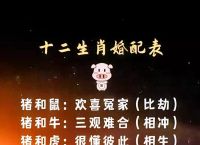 什么生肖相配、生肖猴和什么生肖相配