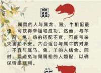 猪同什么生肖婚配最好、猪跟什么生肖最配做夫妻