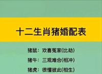 今期就看小数号打生肖、今期就看小数号蛇猪虎肖有参考