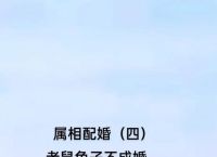 “风雨交加昏天地”指什么生肖的简单介绍