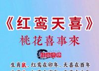 今期唯有旺三三打准确生肖、今期唯有旺三三三字出头见红鲤是什么生肖