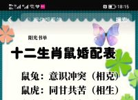 生肖兔和什么生肖相冲相合、生肖兔和什么生肖相冲相合呢