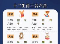 包含今期生肖二三来指什么生肖或动物的词条