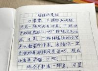 正确答案是什么数字、什么是正确答案作文300字