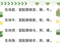 上窜下跳打一生肖最佳答案、上窜下跳打一生肖最佳答案是什么