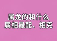 属龙跟什么生肖最配、属龙跟什么属相配最好