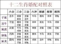 94年属什么生肖配对最好、94年属什么生肖配对最好女