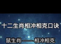 跟什么生肖相冲、龙跟什么生肖相冲