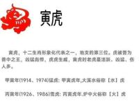 今期生肖有金木是什么生肖动物、今期生肖有木头是什么生肖?360问答