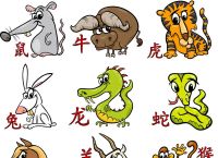 “一阴一阳取好码”打一准确生肖的简单介绍