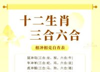 三九相合有玄机正确答案、三九相连二合来是什么生肖