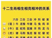 关于龙凤结缘在今期打一个生肖的信息