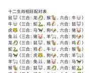 二五相合一七开是什么生肖动物、二五相合一七开是什么生肖最佳答案