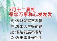 今期生肖山大王王朝马汉在两旁、今期生肖山大王,百度好运一点通