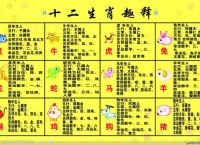 今期生肖北方找打一动物、今期生肖在南方是什么意思