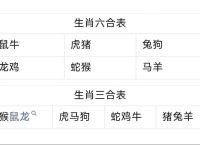 三门有玄机打一正确生肖、三门有数必中特打一精准生肖