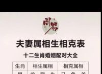 属猴与什么生肖相冲相克呢、属猴与什么生肖相冲相克呢女孩