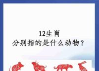 摸打一生肖动物、摸字打一生肖是什么动物