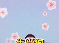今期单数必定发打一正确生肖、今晚一定出最准的生肖是哪个生肖