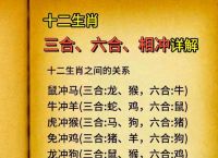 鼠和什么生肖最配相冲相克、鼠和什么生肖相克,相冲,相害