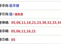 今期生肖二四排准确一肖、今期生肖出二四是什么数字