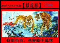 今期特马一正确数字、今期特马开本期代表什么动物
