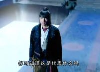 今日有玄机什么意思、今日玄机图天外飞仙电视剧全集