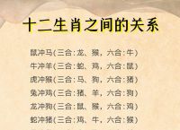 冲打一生肖最佳答案是什么的简单介绍