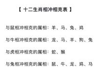 属鼠人与什么生肖相冲、属鼠和什么生肖相冲相合