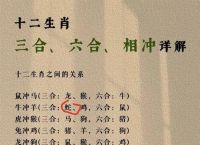 完美无瑕打一生肖动物、完美无瑕是什么意思解释