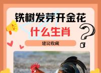 开红花打是什么生肖、开红花是什么生肖代表
