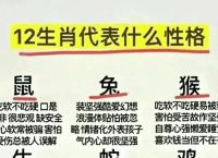 今期生肖多能耐是什么肖、今期生肖最好查是什么意思