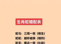 2004年属什么生肖配对最好、1996年属什么生肖和什么最配