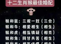96年属什么生肖与什么配最好、96年属什么生肖与什么配最好婚姻