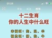 今期生肖旺东西是什么动物、今期生肖旺东西是什么动物生肖