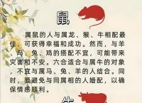 一日三歺抢先尝打一生肖、一日三餐抢先尝代表什么生肖