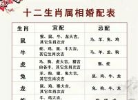 00年属什么生肖的属性、00年属什么生肖的属性和属相