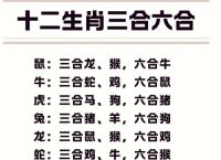 一三合七今期来打一准确生肖数字的简单介绍